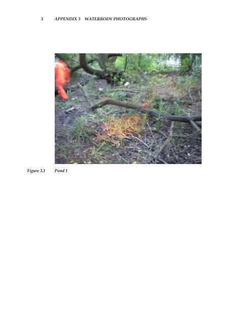 Environmental Statement volume 4 - Chiltern Evergreen3