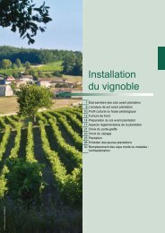 Installation du vignoble - La Chambre d'Agriculture de Charente ...