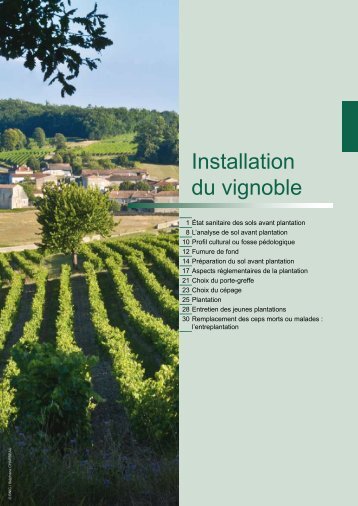 Installation du vignoble - La Chambre d'Agriculture de Charente ...