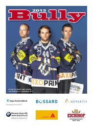 gehts zur Eishockey-Beilage Â«Bully - Neue Luzerner Zeitung