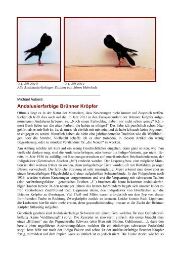 Andalusierfarbige Brünner Kröpfer - Club der Brünner-Kröpfer-Züchter