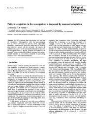 Pattern recognition in the neocognitron is improved by ... - Springer