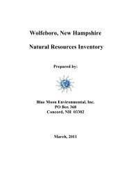 Wolfeboro, New Hampshire Natural Resources Inventory - Town of ...