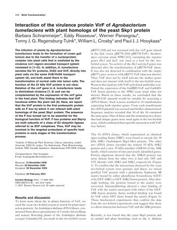 Interaction of the virulence protein VirF of Agrobacterium ...