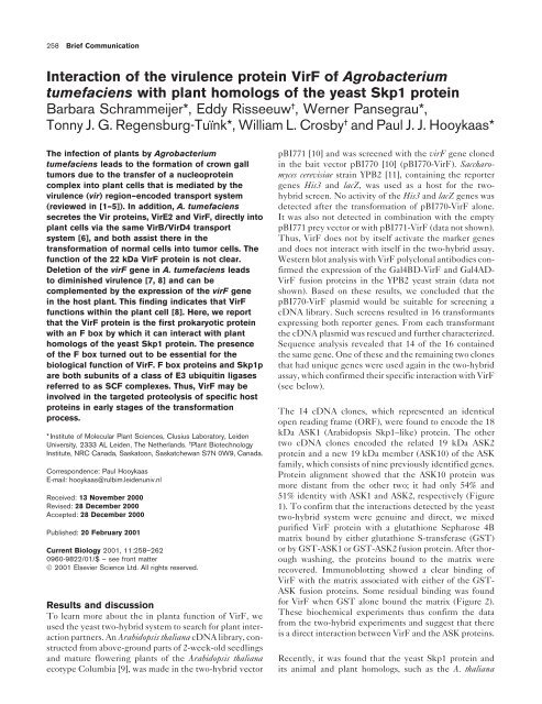 Interaction of the virulence protein VirF of Agrobacterium ...