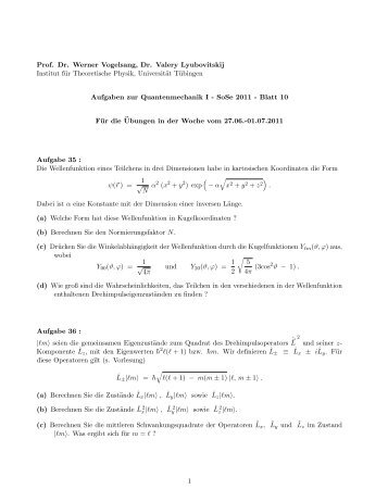 Prof. Dr. Werner Vogelsang, Dr. Valery Lyubovitskij Institut für ...