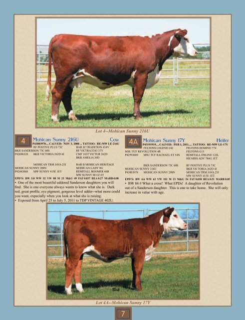 Download Catalog - BILL PELTON Livestock, LLC