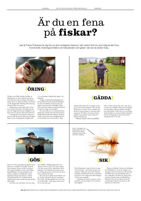 Hela bilagan - mediapuls.com