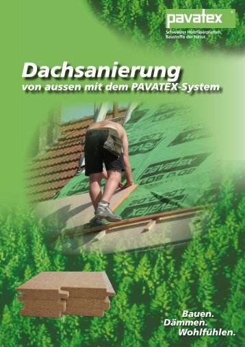 Dachsanierung - Pavatex