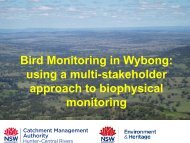 Monitoring Birds in Wybong - All Occasions Management Group
