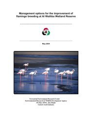 Management options for the improvement of flamingo breeding at Al ...