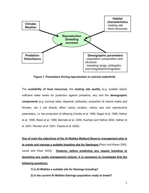 Management options for the improvement of flamingo breeding at Al ...