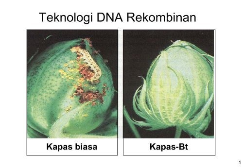 Kuliah 7 Teknologi DNA Rekombinan.pdf