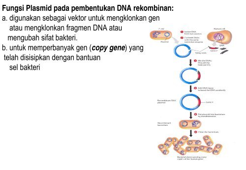 Kuliah 7 Teknologi DNA Rekombinan.pdf