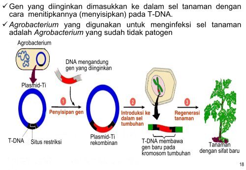 Kuliah 7 Teknologi DNA Rekombinan.pdf