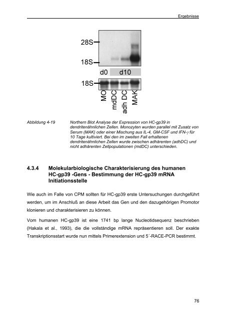 Klonierung und Charakterisierung von reifungsassoziierten ...