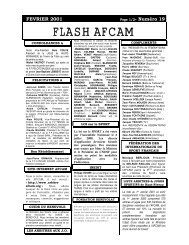 Flash 19 - AFCAM