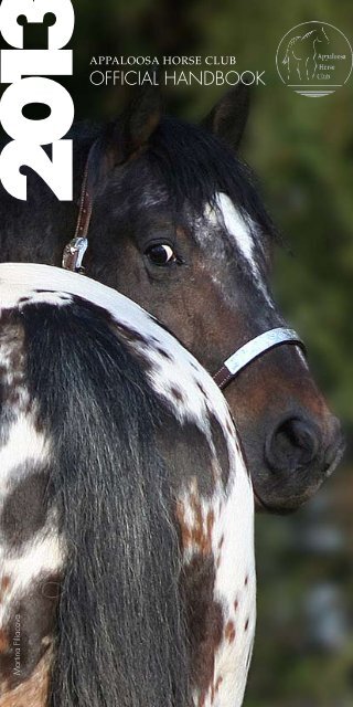 Appaloosa Characteristics – Appaloosa Horse Club (ApHC) UK
