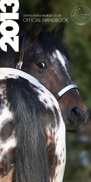 Appaloosa Horse Club