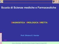 Diagnosi diretta - Sezione di Microbiologia