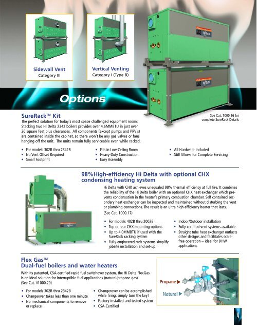 Raypak Hi Delta brochure - California Boiler