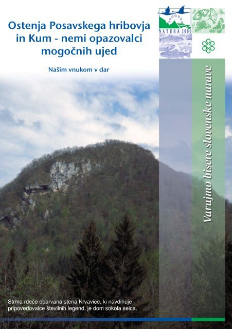 Ostenja Posavska hribovja in Kum - Natura 2000