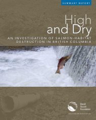 An Investigation of Salmon-Habitat Destruction in British Columbia