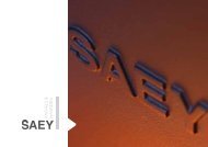 Collectie 2013 - Saey