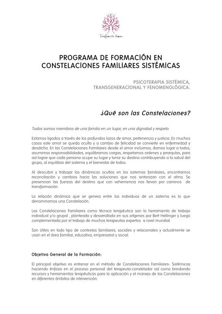 programa de formación en constelaciones familiares sistémicas