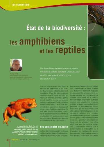 les amphibiens et les reptiles - Natagora