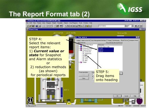 What is a report format
