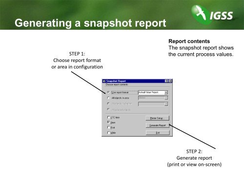 What is a report format