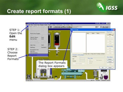 What is a report format