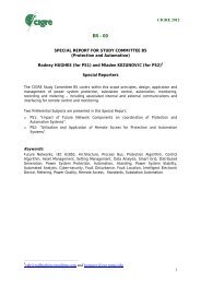 B5 SPECIAL REPORT 2012 - Cigre