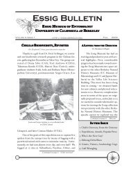 Essig Bulletin - Essig Museum of Entomology - University of ...