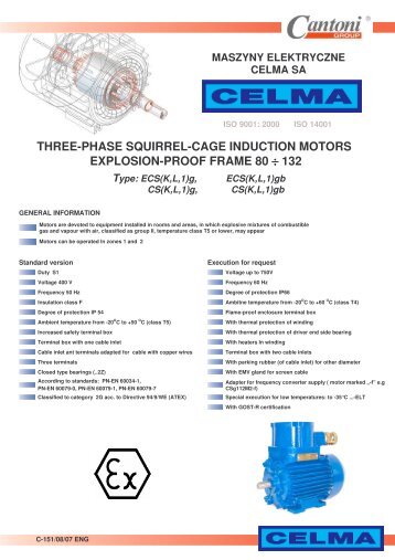 three-phase squirrel-cage induction motors ... - Cantoni Group