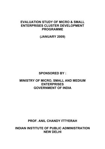 Evaluation Study MSE Cluster Development - Ministry of Micro ...