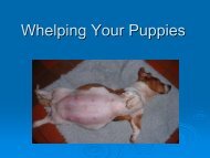 Whelping Your Puppies