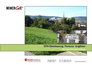 EFH-Überbauung 'Fortuna' Anglikon - BauLerchManagement AG