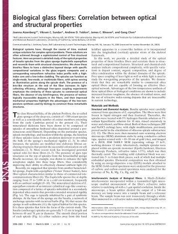 Biological glass fibers: Correlation between optical and structural ...