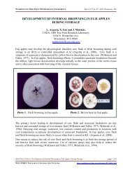 Development of Internal Browning in Fuji Apples During Storage