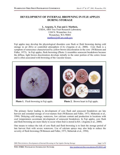 Development of Internal Browning in Fuji Apples During Storage