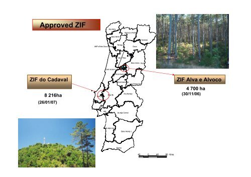 Forest Intervention Zones (ZIF) - Land Laboratory (LaboraTe)