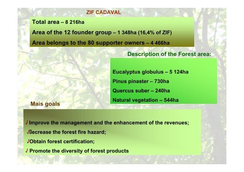 Forest Intervention Zones (ZIF) - Land Laboratory (LaboraTe)