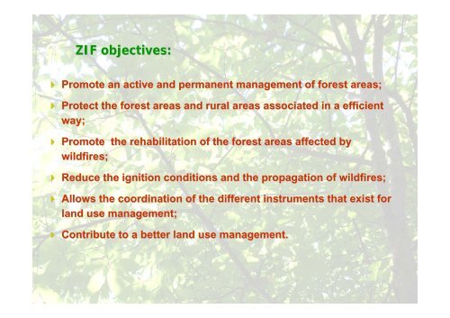 Forest Intervention Zones (ZIF) - Land Laboratory (LaboraTe)