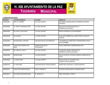 LICENCIAS ACTIVAS - XIV Ayuntamiento de La Paz