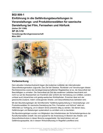 BGI 809-1 Einführung in die Gefährdungsbeurteilungen in ...