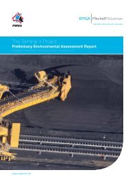 Preliminary Environmental Assessment - Port Waratah Coal Services