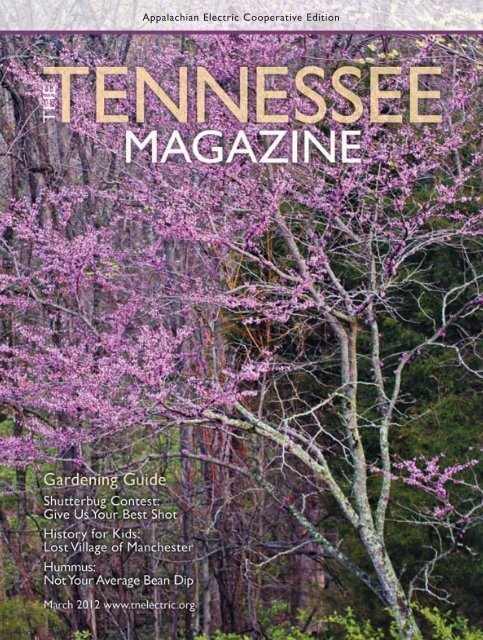 https://img.yumpu.com/4842447/1/500x640/view-tearsheets-tennessee-electric-cooperative-association.jpg