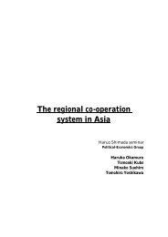The regional co-operation system in Asia
